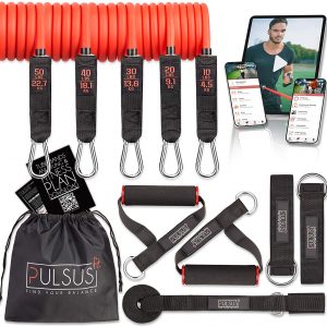 PULSUS fit Fitness Band Resistance Bands Set with Exercise Video App – Pro Expander Band Set: 5 Resistance Bands, Handles, Foot Straps, Door Anchor & Carry Bag | Sling Trainer