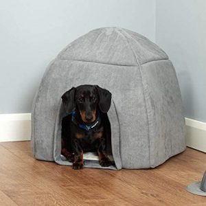 Me and My Large Grey Igloo Pet Bed