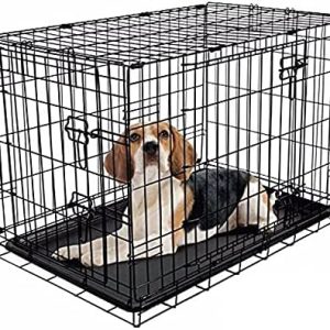 RAC Dog Puppy Cage Folding 2 Door Crate with Plastic Tray Medium 30-inch Black (Medium)